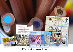 Printmedien
